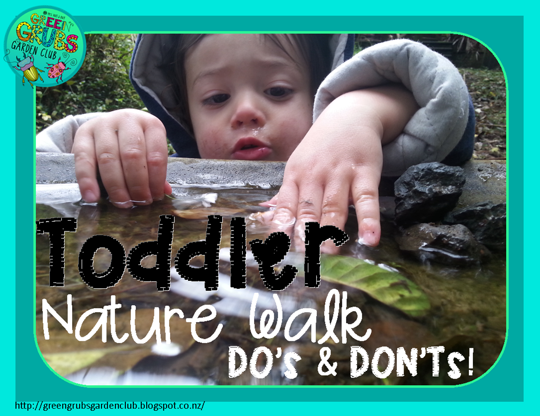 Toddler Nature Walk DO’s & DON’Ts!