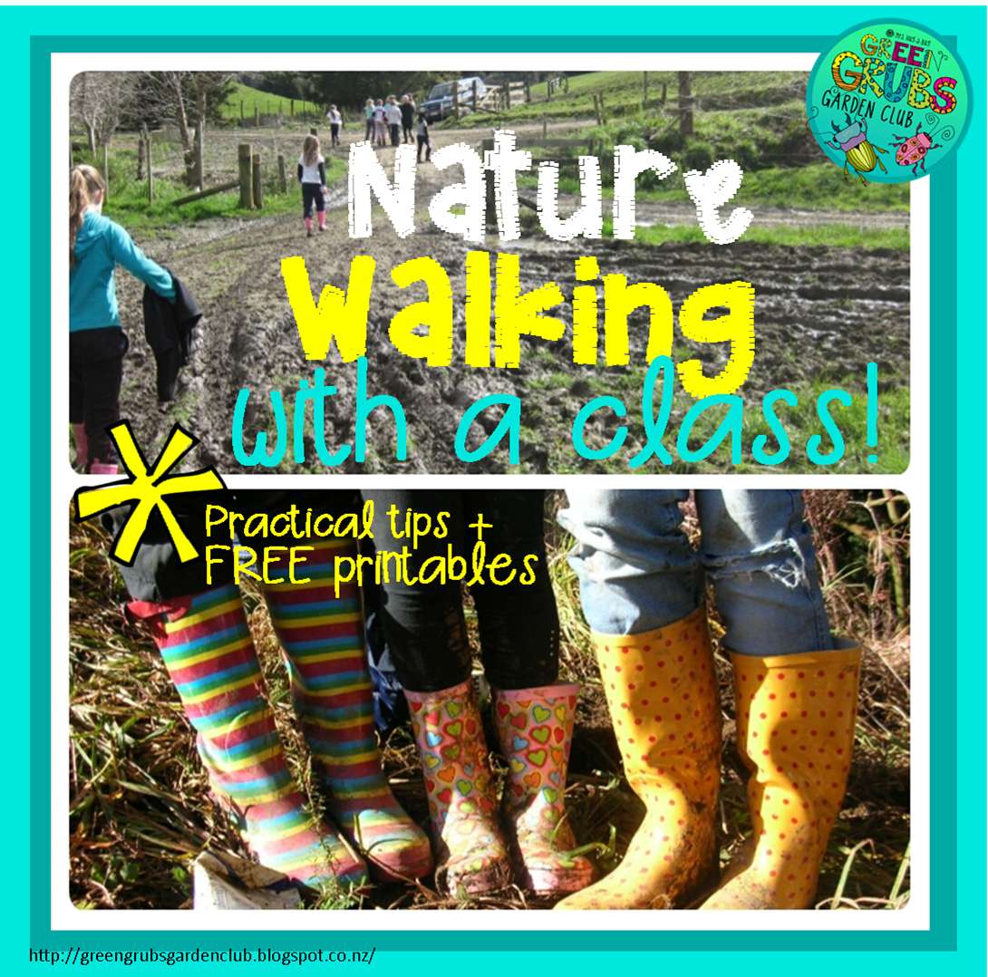 Nature walking & exploring with a class