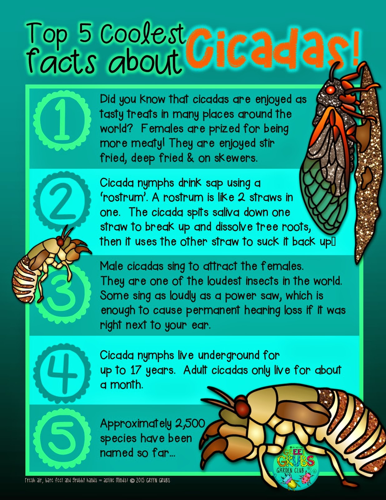 Top 5 Coolest facts about Cicadas {+ a free printable!}