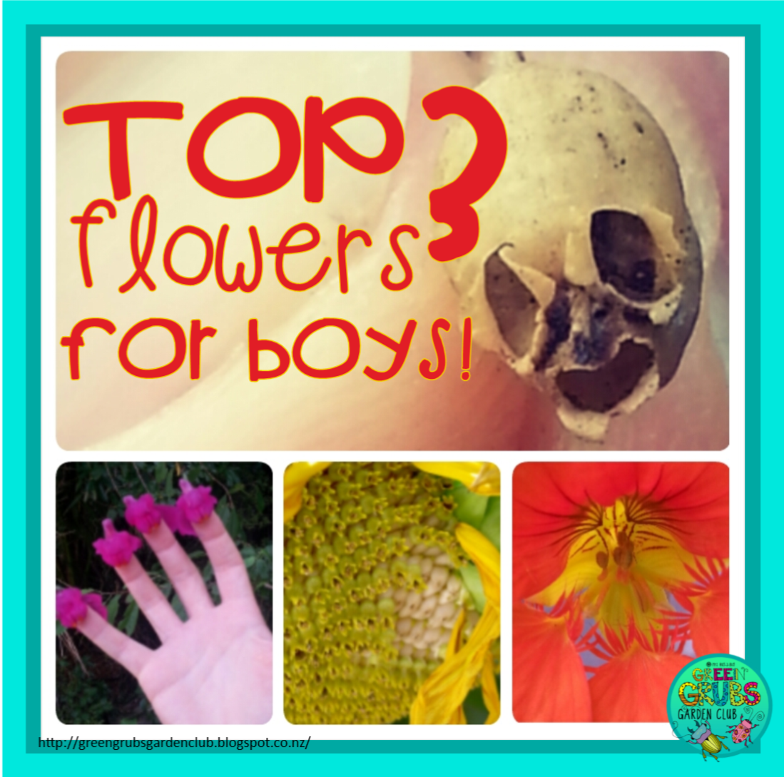 Top 3 flowers to grow for BOYS! {why they’ll love them and what to do with them}