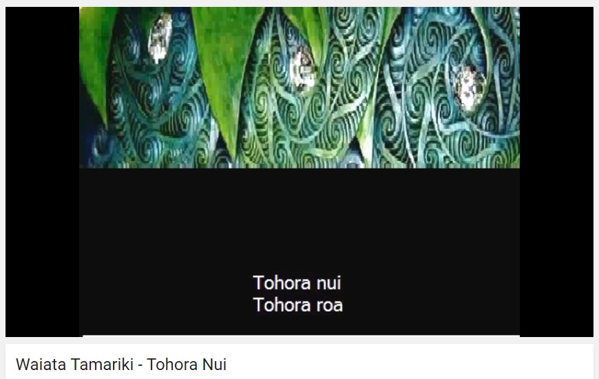 Tohora Nui – Big Whale {Song Lyrics Freebie!}