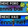 PE Shed & Sports Equipment Labels {Bilingual Maori-English} - Image 7