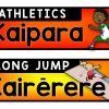 PE Shed & Sports Equipment Labels {Bilingual Maori-English} - Image 3