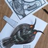 Huia Bird {Make & Do Activity Pack} - Image 3