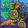 Nature Walk Treasures Clip Art - Image 5