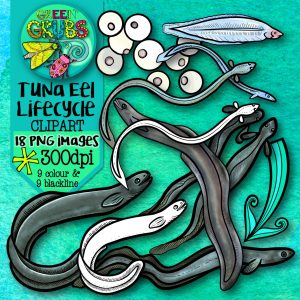 Eel Tuna Lifecycle Clip Art