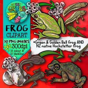 Frog Lifecycle Clip Art (Green & Golden Bell Frog and Hochstetter's Frog)